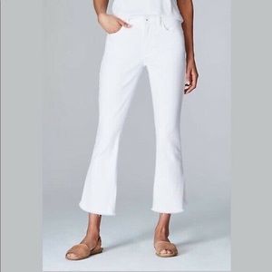 NWT J.JILL Denim Kick Flare size 16 petite